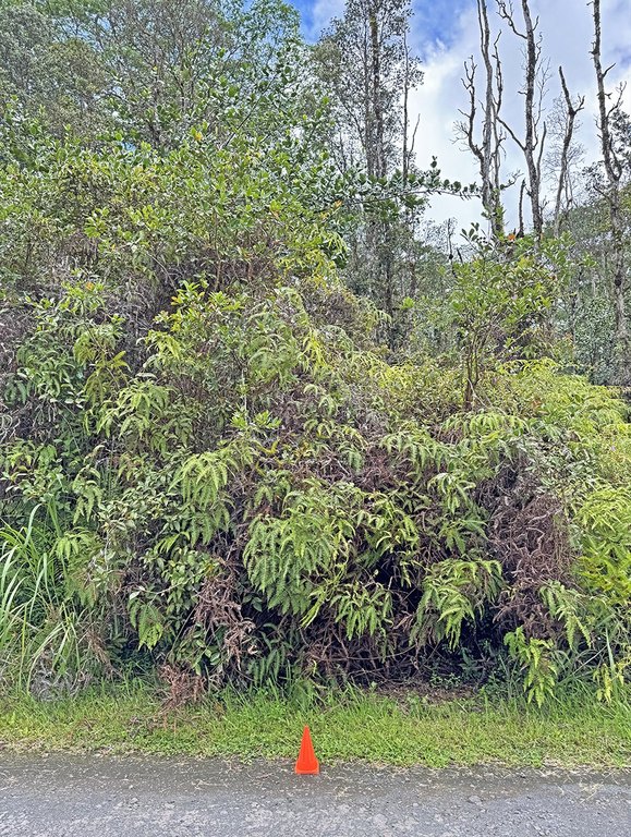 Picture 17