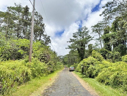 Picture 23