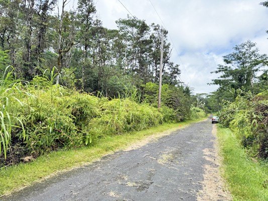 Picture 20