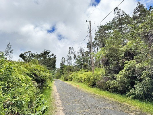 Picture 10