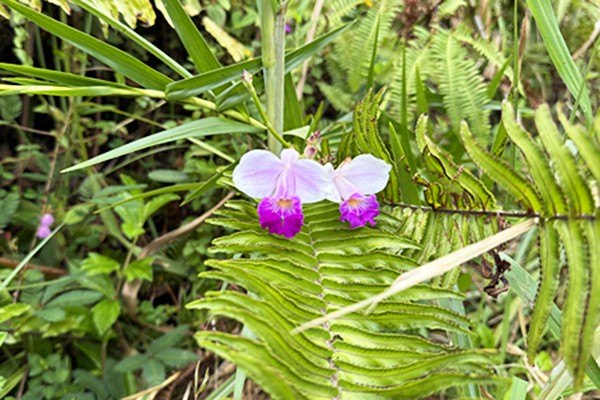 Picture 7