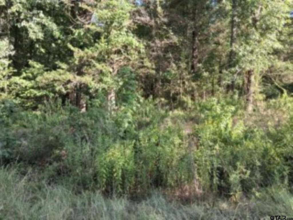 Picture 4