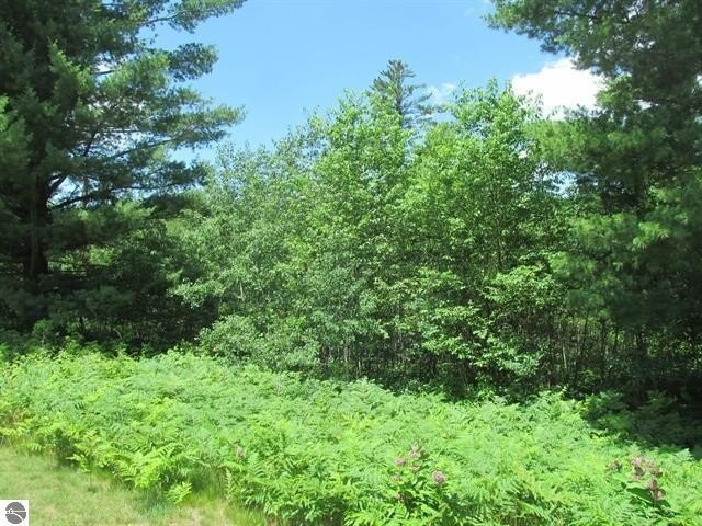 Picture 5