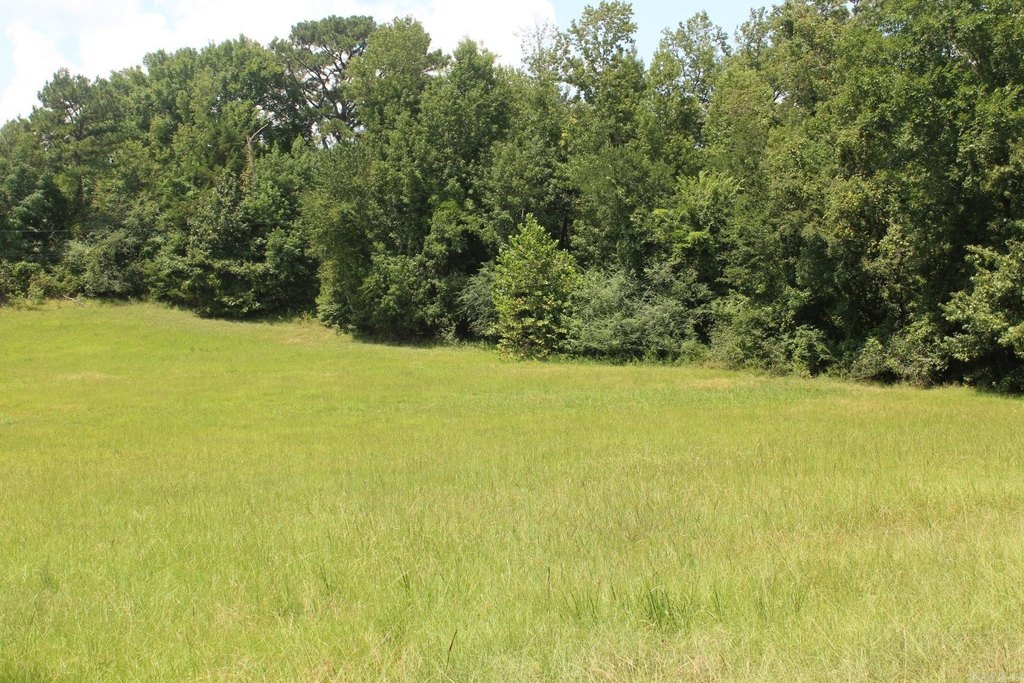 Picture 8