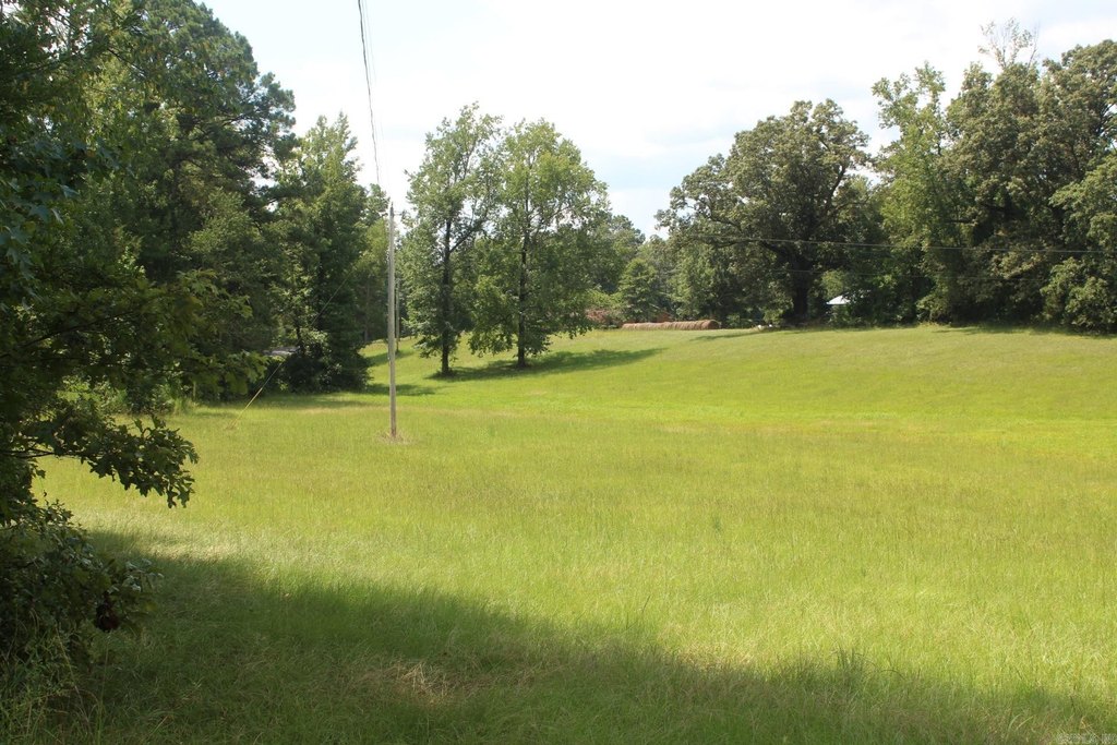 Picture 7