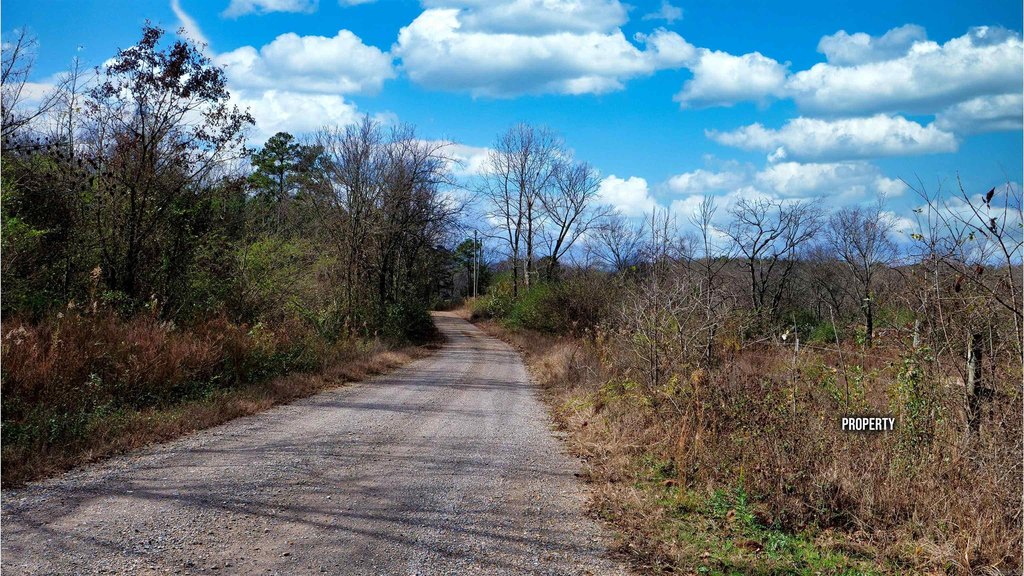 Picture 18