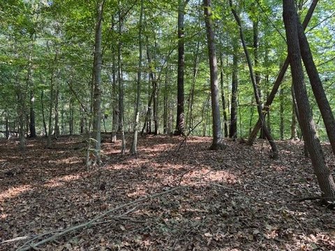Land, Canton, GA