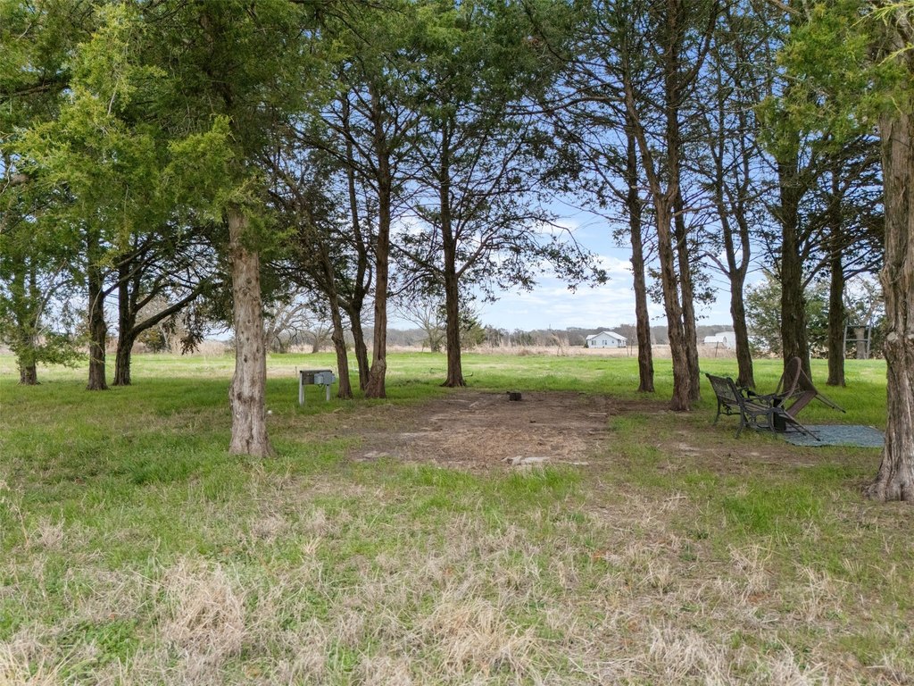 Picture 12