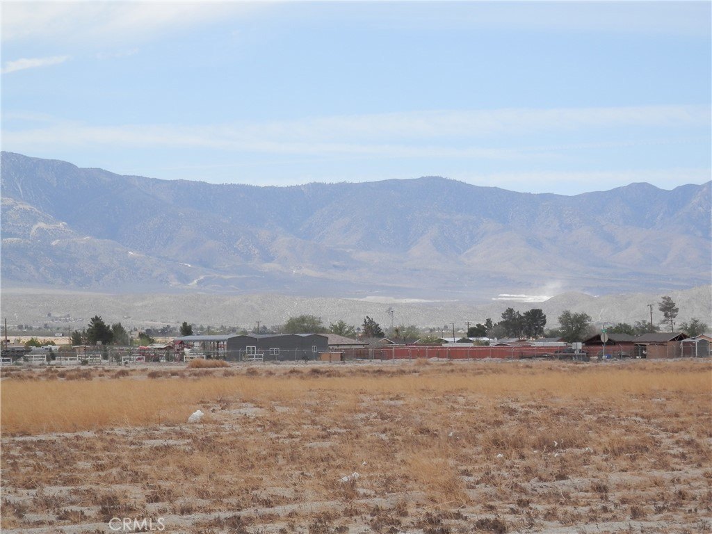 Picture 2