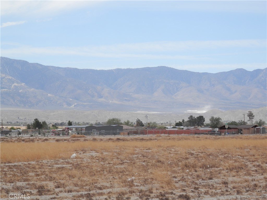 Picture 4