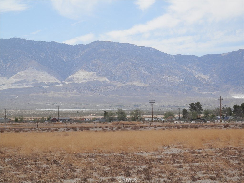 Picture 3