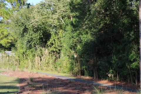Land, Carrabelle, FL