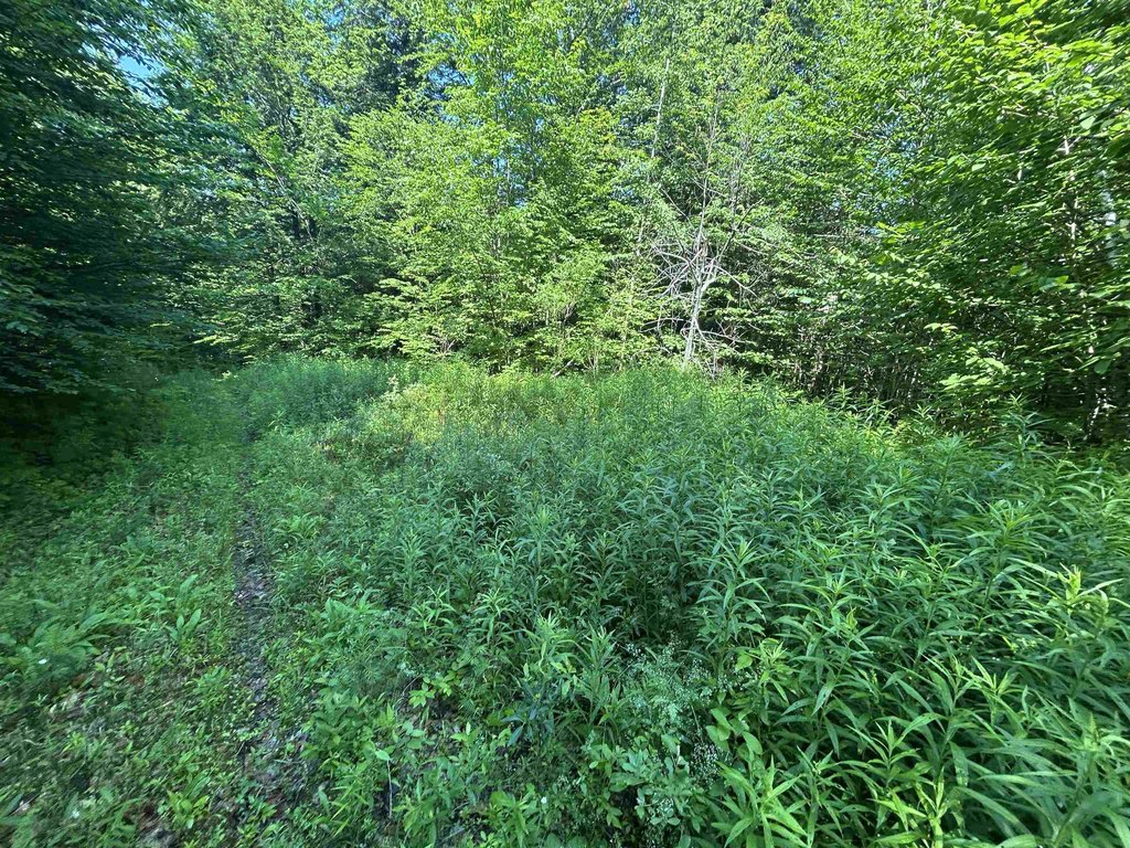 Picture 19