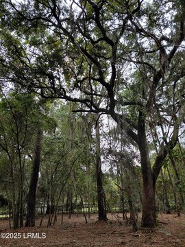 Residential Lot in Fort Place