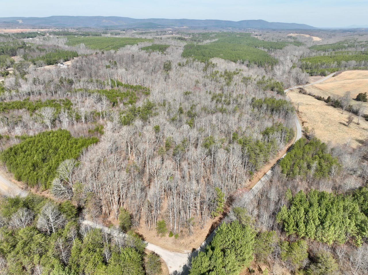 Axton Vacant Land with Views