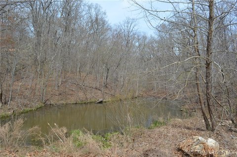 Picture of Land at Bobcat Rd 514, Stover, MO