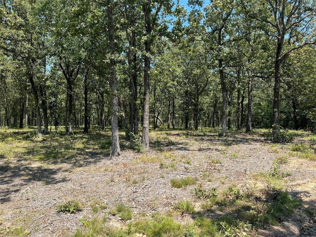 Picture 11