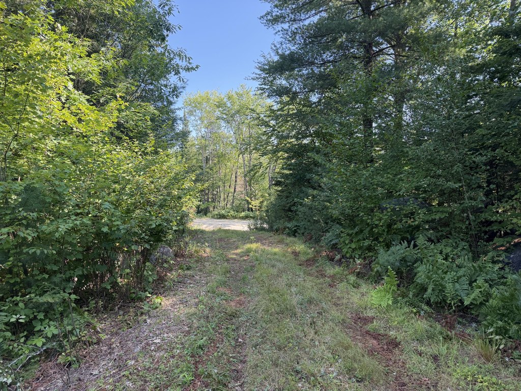 Picture 10