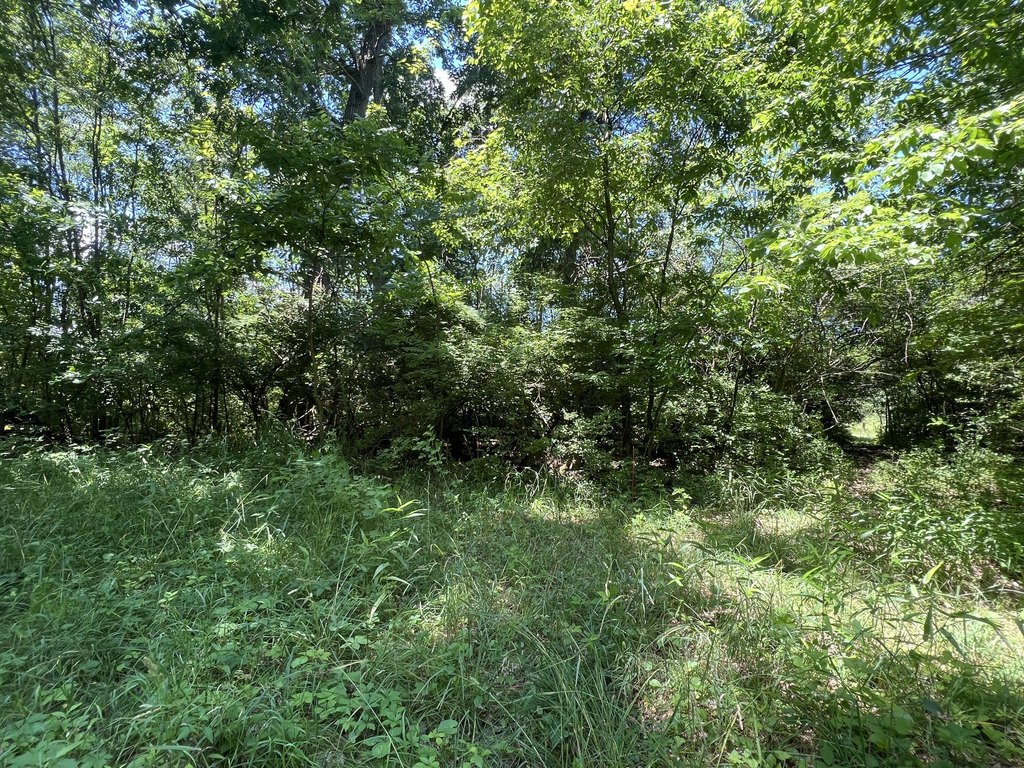 Picture 9