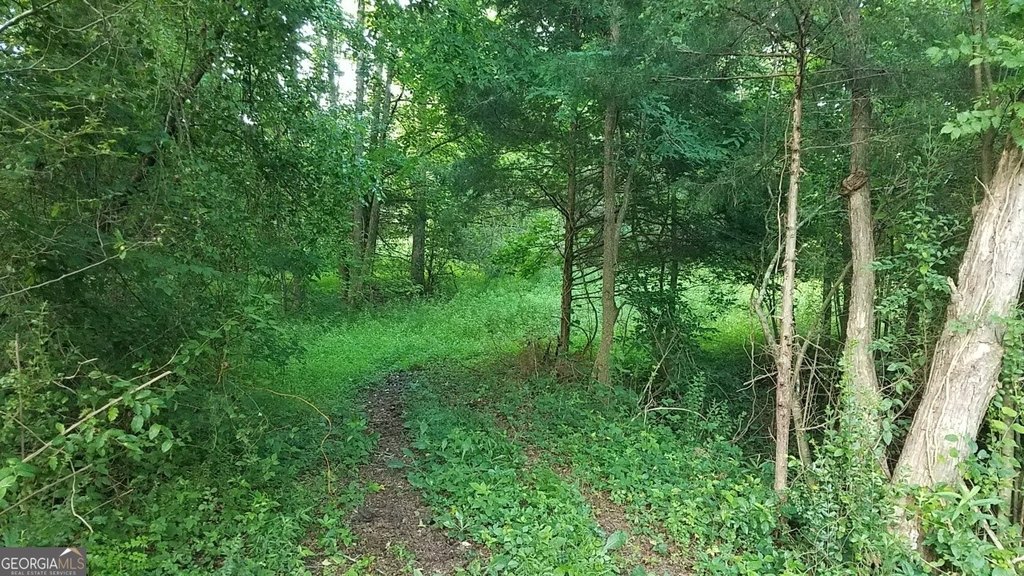Picture 10