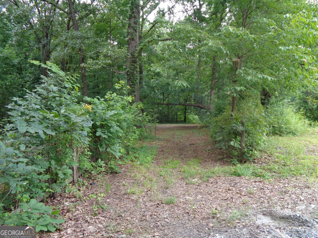 Picture 24