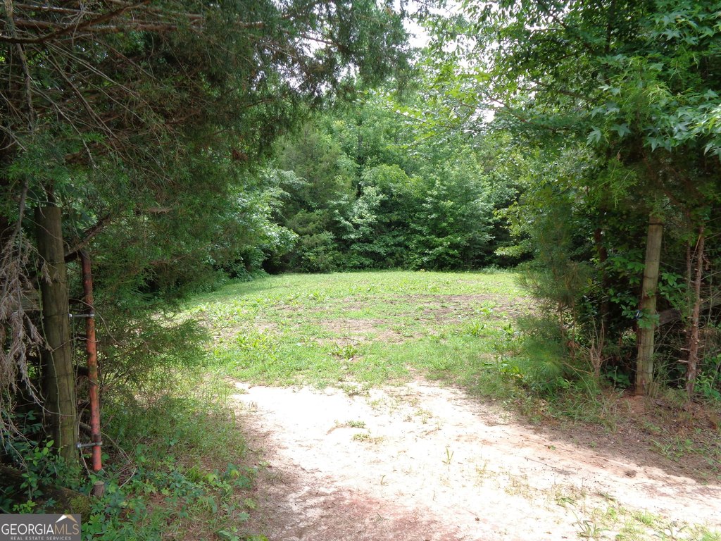 Picture 45