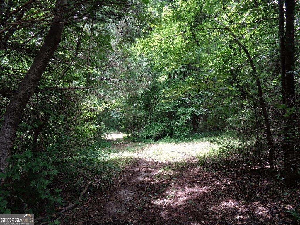 Picture 51
