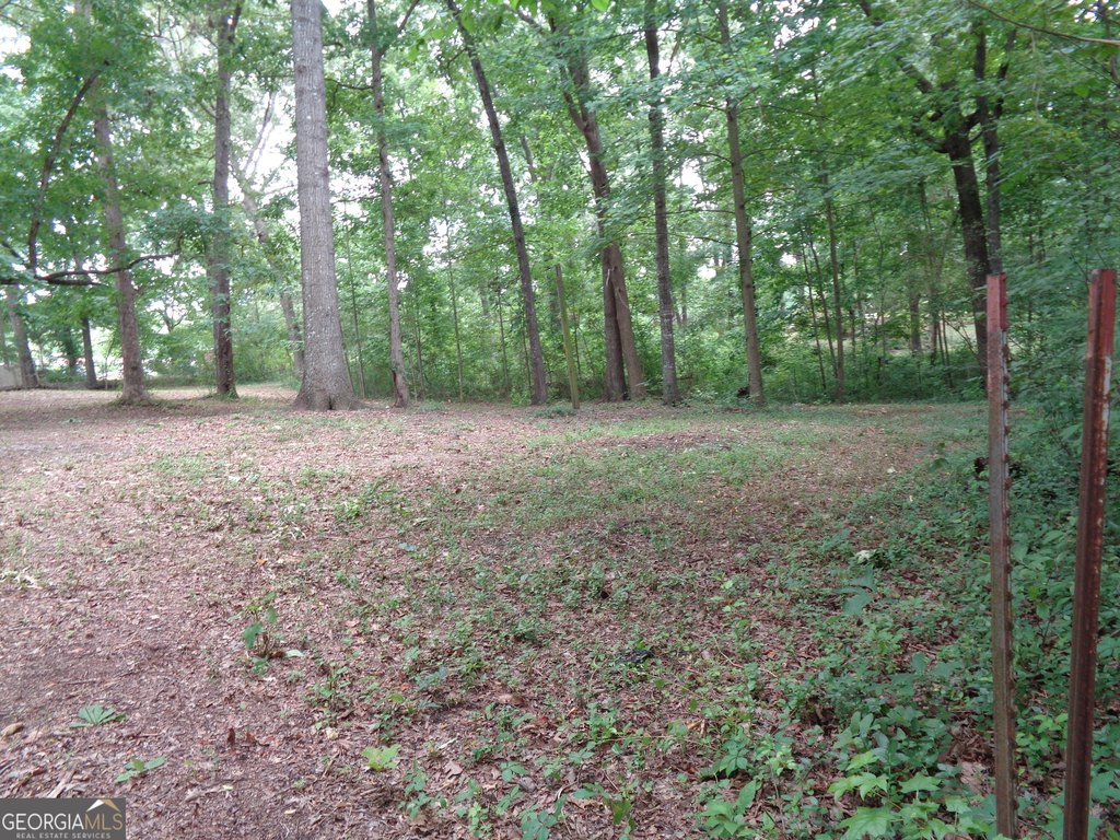 Picture 28