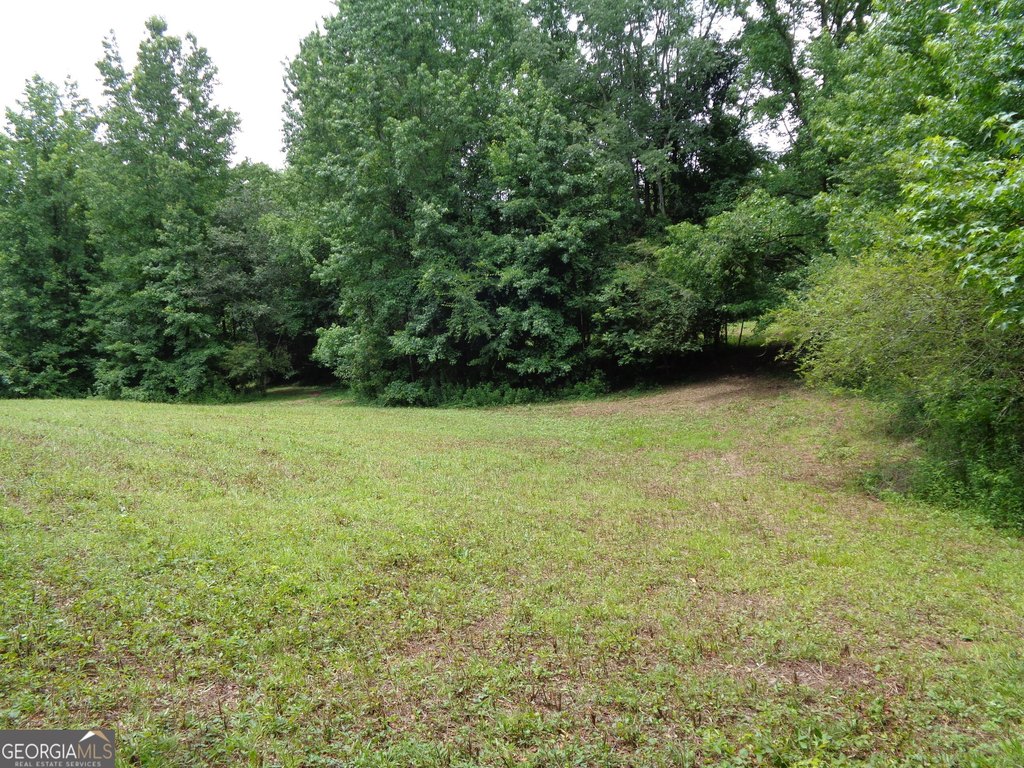 Picture 47