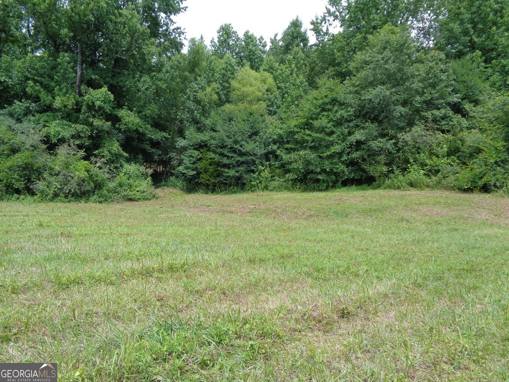 Picture 18