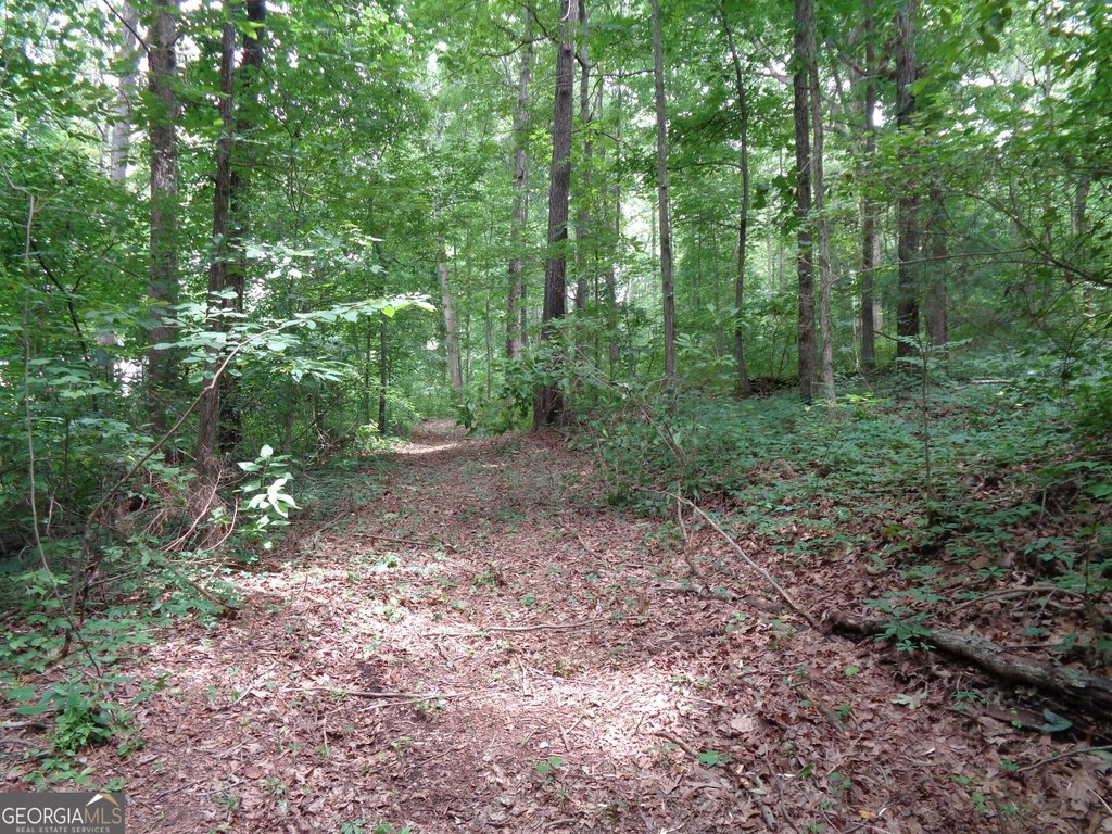 Picture 37