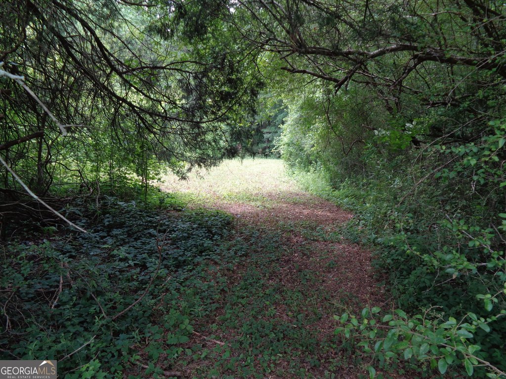 Picture 62