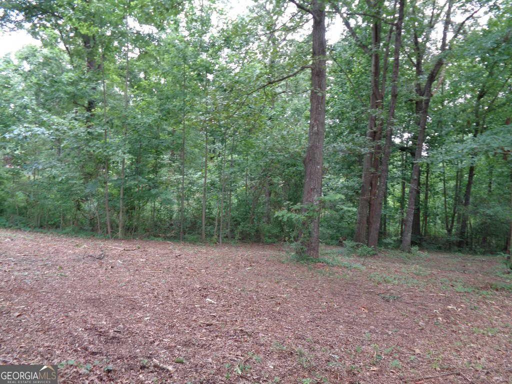 Picture 26