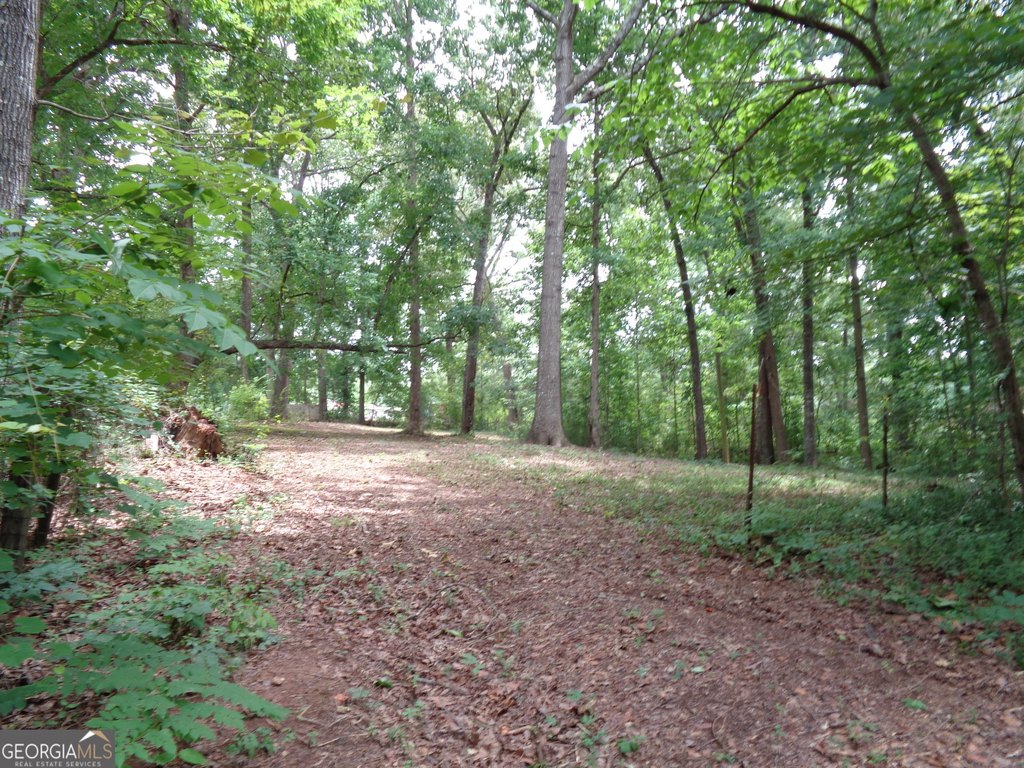 Picture 41
