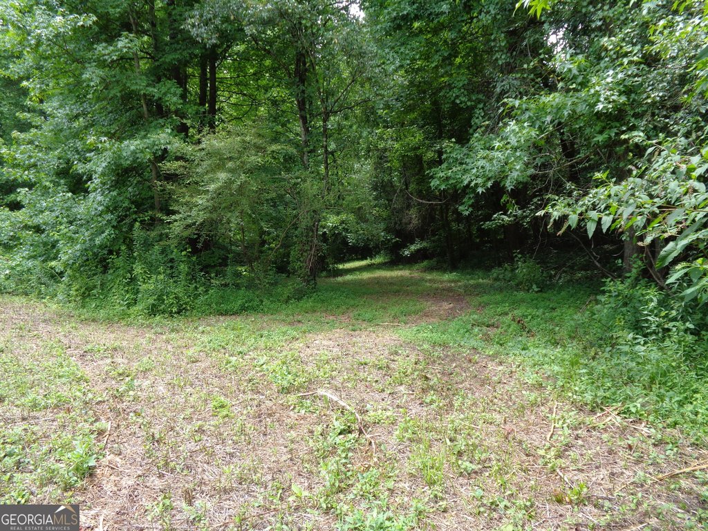 Picture 48