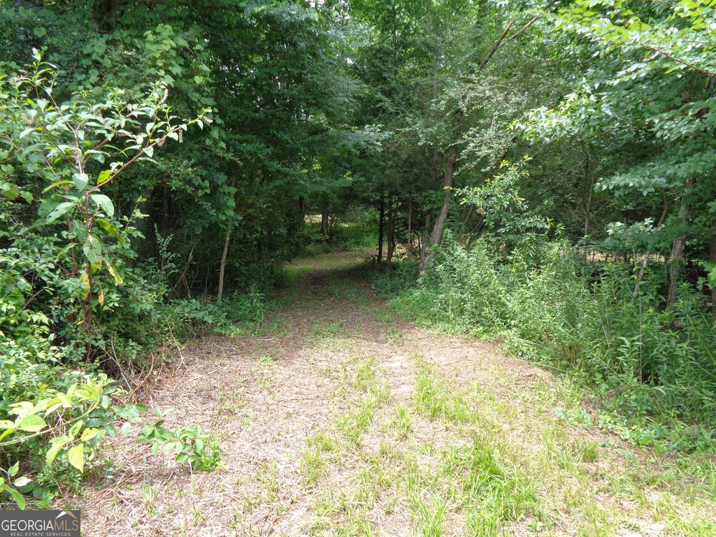 Picture 19
