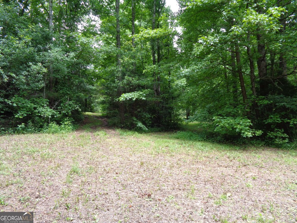 Picture 22
