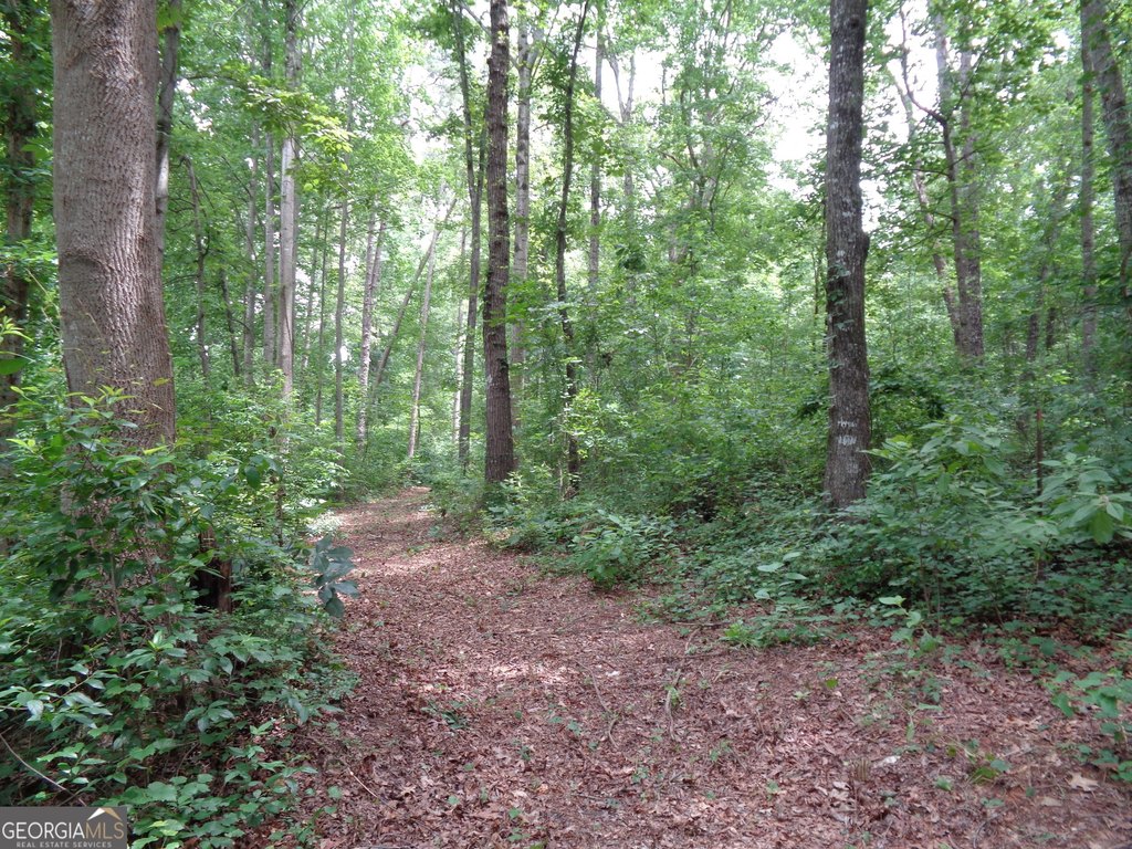 Picture 39