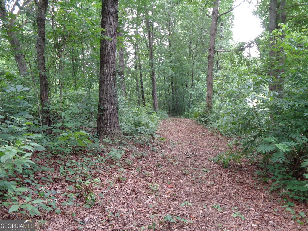 Picture 31