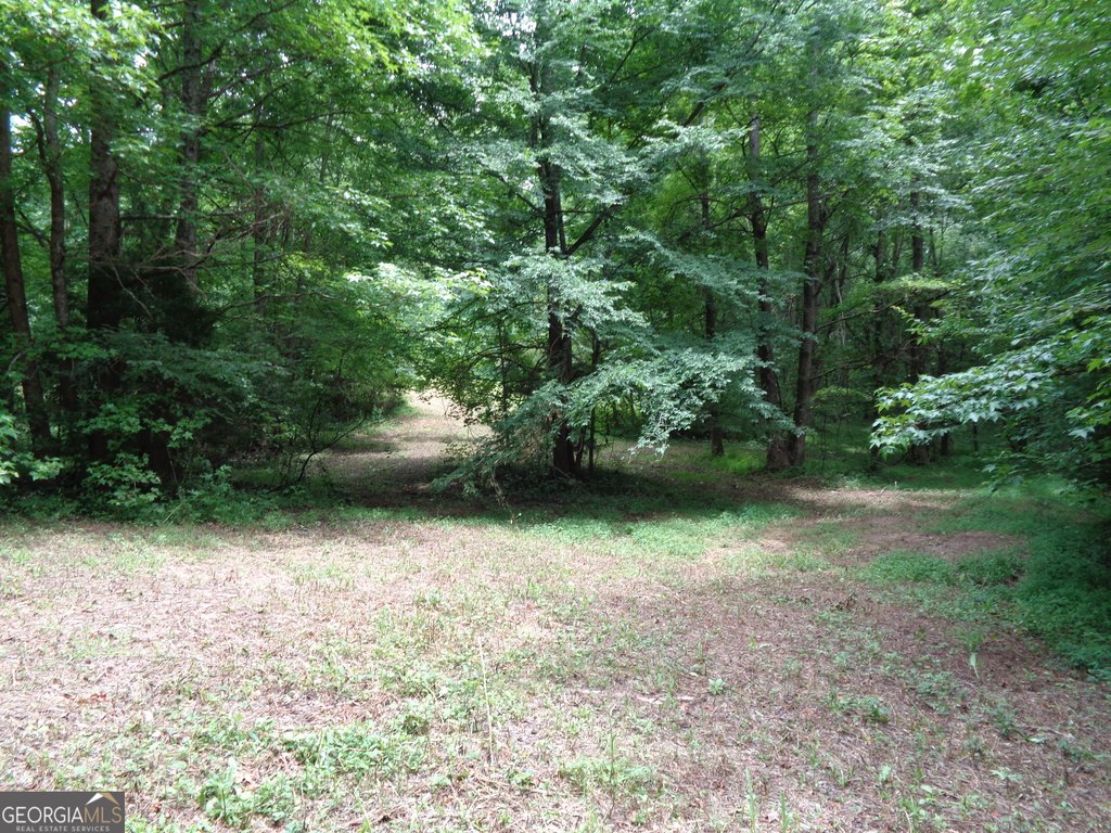 Picture 21