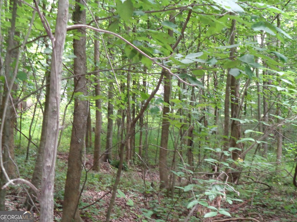 Picture 34