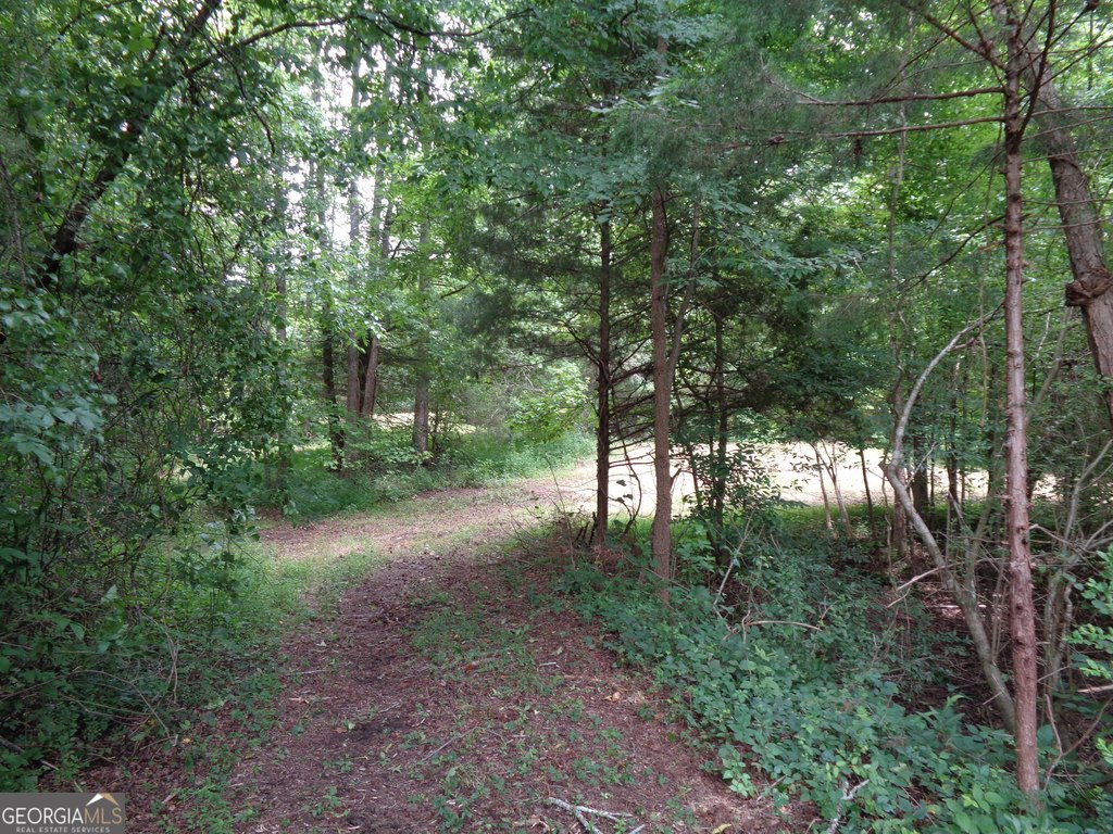 Picture 20
