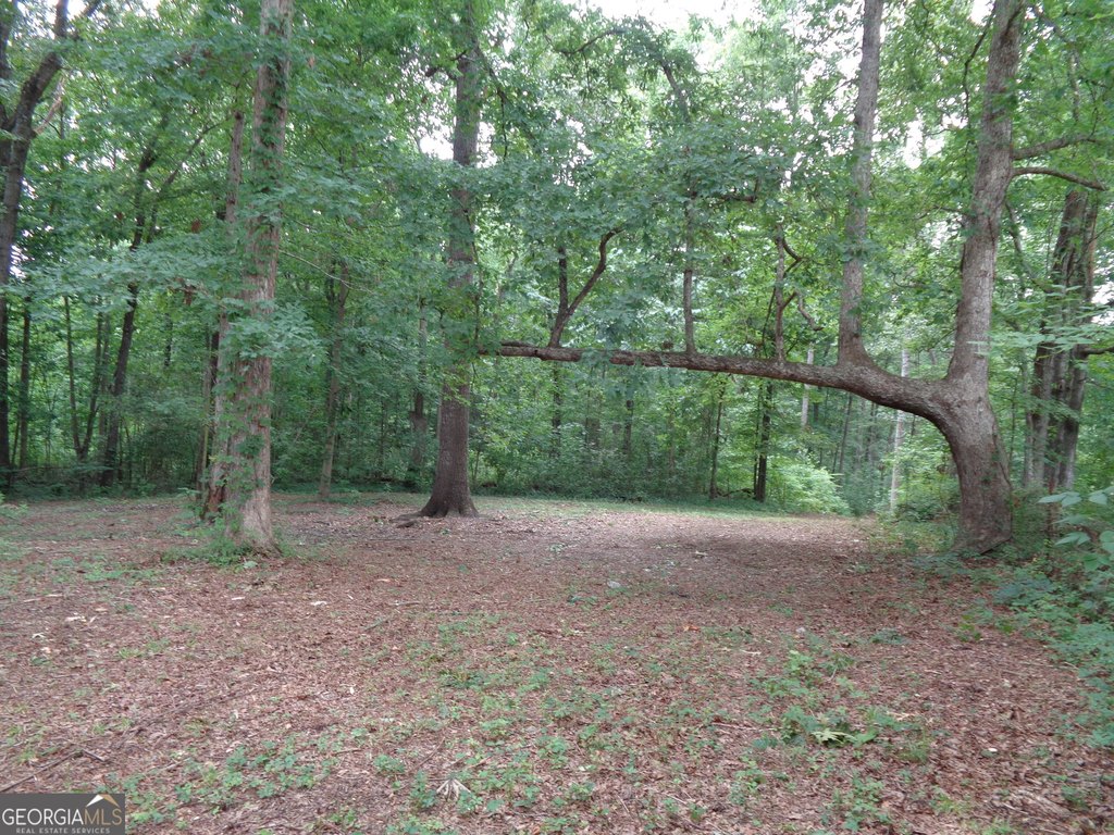 Picture 25