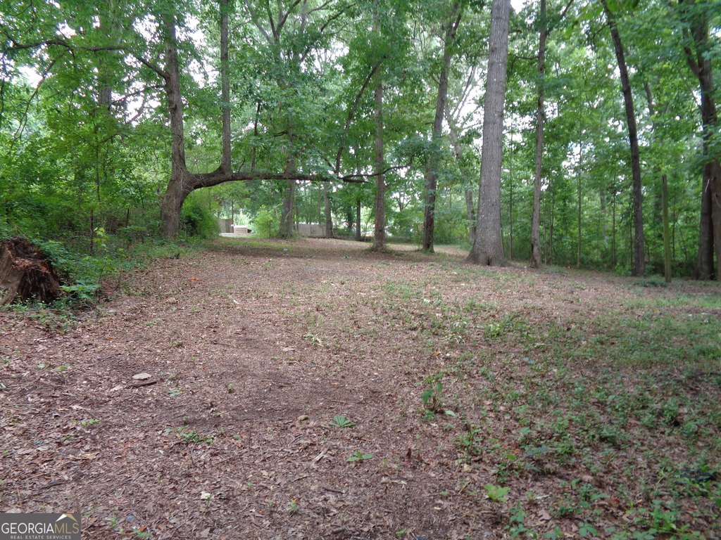 Picture 29