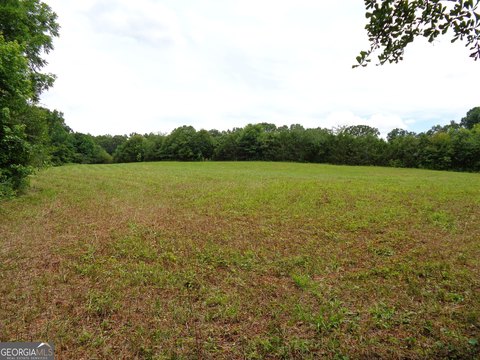 LAND - Carnesville, GA