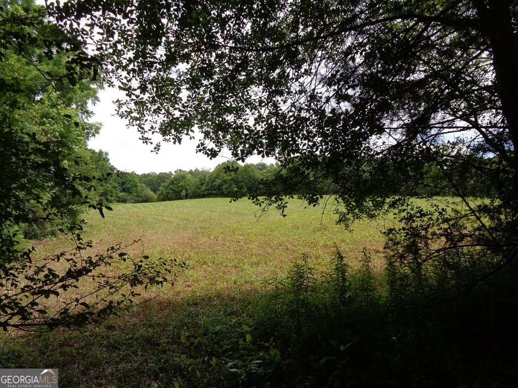 Picture 13