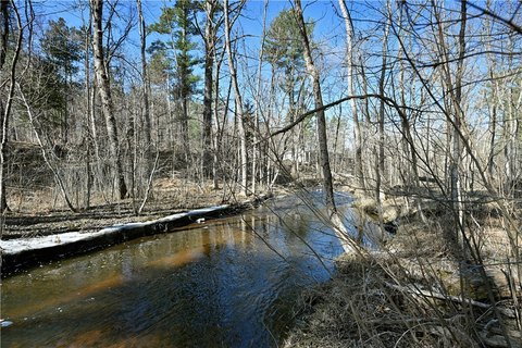 Wooded Lot Near Potato Creek