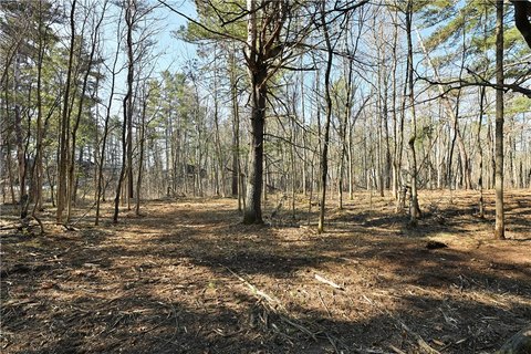 Wooded Lot Near Spooner, WI