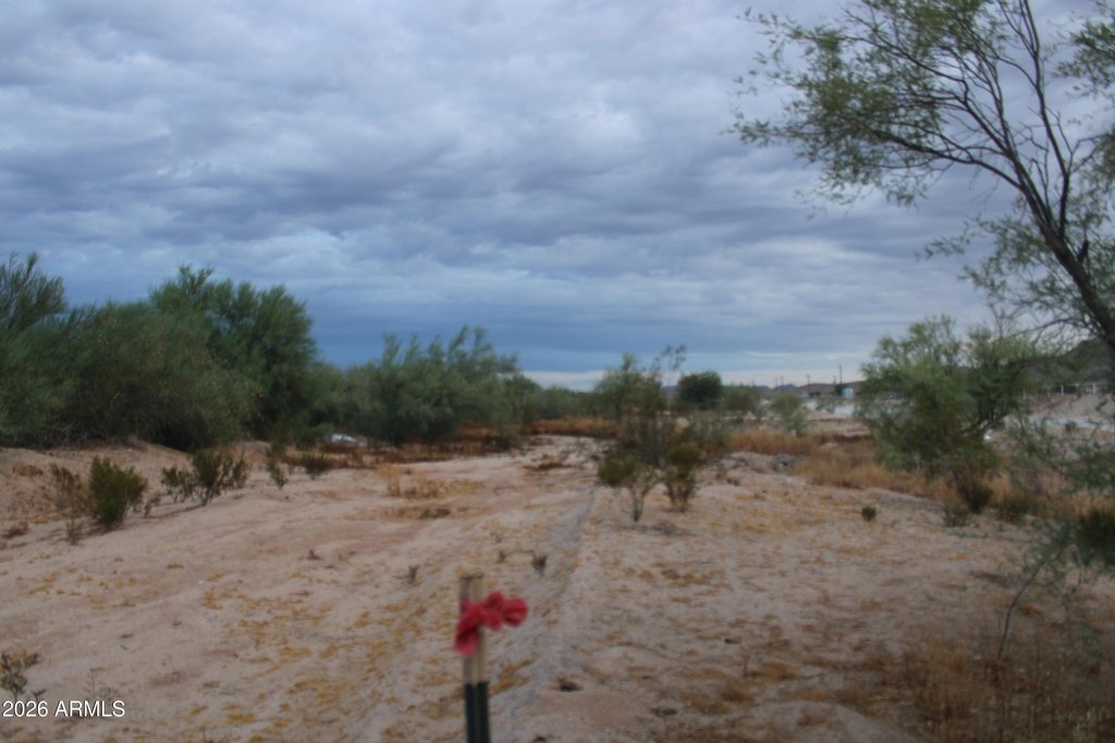 Picture 16