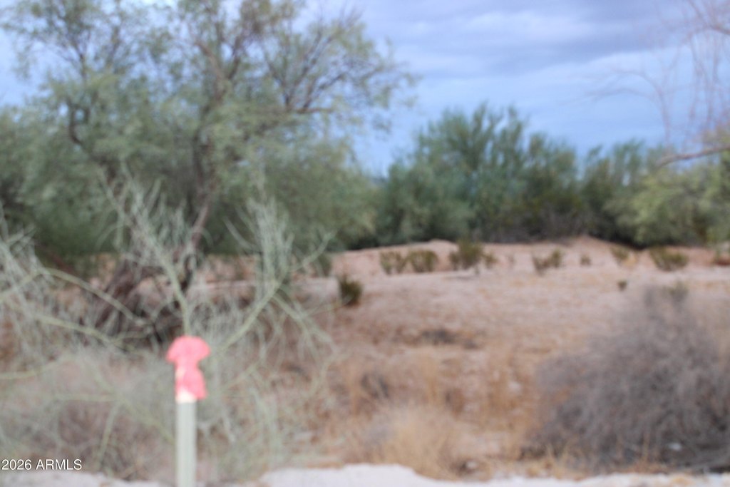 Picture 15